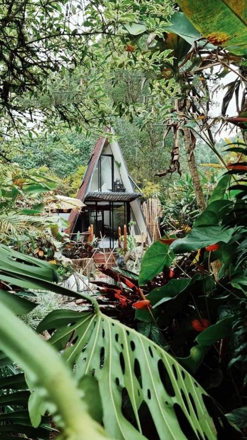 מלון Glamping Salento Con Jacuzzi Climatizado מראה חיצוני תמונה